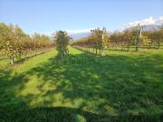 Terreno in vendita di 14000 m²