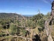 Terreno in vendita di 14000 m² in Via Visconti