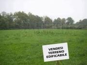 Terreno in vendita di 1400 m² in Via Grande di Carbonera