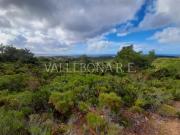 Terreno in vendita di 14210 m²