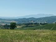 Terreno in vendita di 14300 m² in Contrada Cupoli