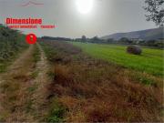 Terreno in vendita di 1435 m² in Via Mulino