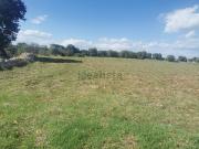 Terreno in vendita di 14500 m² in Contrada San Paolo