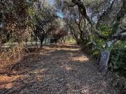 Terreno in vendita di 1450 m² in Via San Pero