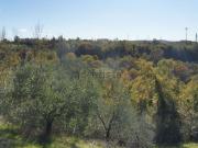 Terreno in vendita di 147105 m² in Frazione Castiglion...