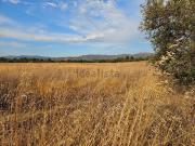 Terreno in vendita di 150000 m² in Strada Statale 387...