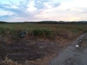 Terreno in vendita di 15000 m² in Contrada Zolfara