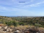 Terreno in vendita di 20000 m² in Via Angelo Cavarra