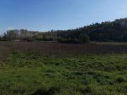 Terreno in vendita di 15000 m² in Via del Puntone