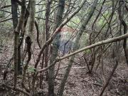 Terreno in vendita di 15000 m² in Via Giuseppe Bandi