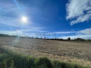 Terreno in vendita di 15000 m² in Via Lava