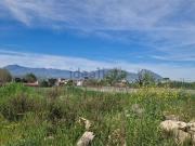 Terreno in vendita di 15000 m² in Via San Chirico