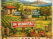Terreno in vendita di 1500 m² in Località Asca
