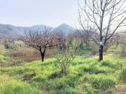 Terreno in vendita di 1500 m² in Via codola