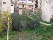 Terreno in vendita di 1500 m² in Via Tirella