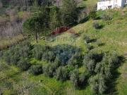 Terreno in vendita di 15150 m² in Via Giuncare, 47