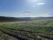 Terreno in vendita di 15210 m² in Via del Mango