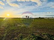 Terreno in vendita di 15240 m² in Strada Provinciale 19