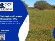 Terreno in vendita di 15340 m² in Contrada Piano Pistone