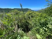 Terreno in vendita di 1573 m² in Località Casara