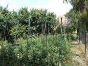 Terreno in vendita di 1580 m² in Via Alessandro Manzoni, 50