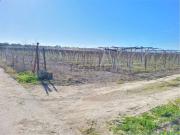 Terreno in vendita di 160000 m² in Strada senza nome