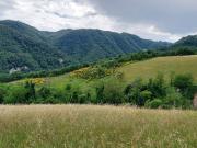 Terreno in vendita di 160000 m² in Via Rio Maggiore, 16