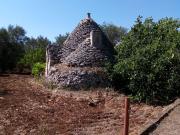 Terreno in vendita di 16000 m² in Contrada Pozzo...