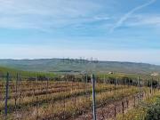 Terreno in vendita di 16000 m² in Strada Provinciale 12