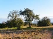 Terreno in vendita di 16000 m² in Via Meti, 1