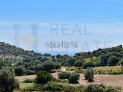 Terreno in vendita di 16000 m² in Via roma, 1