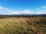 Terreno in vendita di 16000 m² in Via Sabina Sud, 71