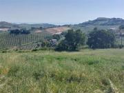 Terreno in vendita di 1600 m²