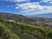 Terreno in vendita di 1600 m² in Strada Provinciale 39