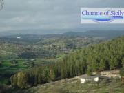 Terreno in vendita di 16174 m² in Corso Umberto I