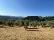 Terreno in vendita di 16247 m² in Via Vallocchie