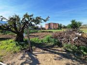 Terreno in vendita di 1630 m² in Viale Tenente Alberto...
