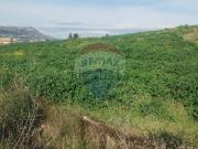 Terreno in vendita di 16420 m² in Strada Consortile...