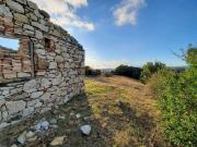 Terreno in vendita di 16500 m² in Via dei Giardini