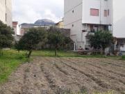 Terreno in vendita di 1683 m²
