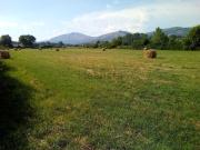 Terreno in vendita di 16850 m² in Via Sfratati