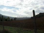 Terreno in vendita di 1700000 m² in Via Malvezza