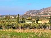 Terreno in vendita di 17000 m²