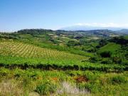 Terreno in vendita di 17000 m² in Via Torre Marcone