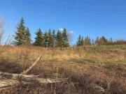 Terreno in vendita di 1700 m² in Località Boffalora