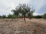 Terreno in vendita di 1700 m² in Via Suppietro Esterna