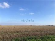 Terreno in vendita di 171109 m² in Via Collarea, 9