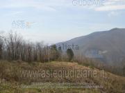 Terreno in vendita di 171353 m² in Via Eugenio Montale