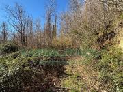Terreno in vendita di 171500 m²