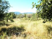 Terreno in vendita di 1750 m² in Via Case Gioacchino